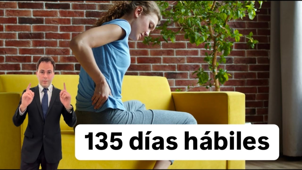 135 dias habiles cuantos meses son