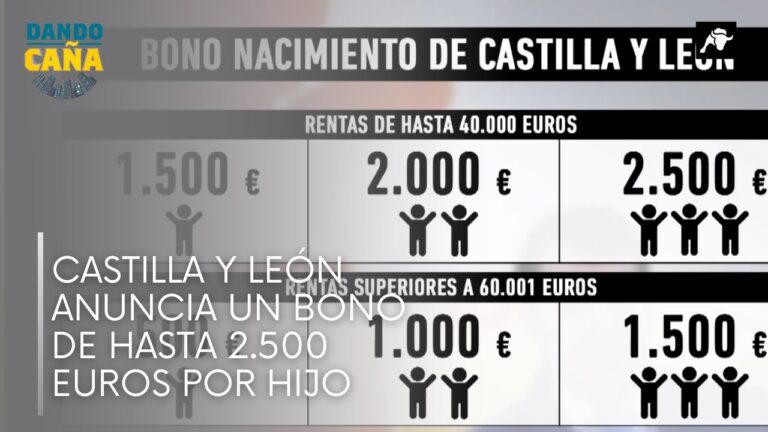 ayudas junta castilla y león por hijos