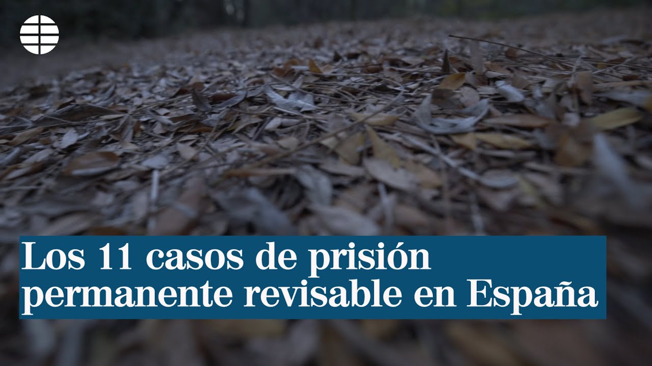 cadena perpetua revisable en españa