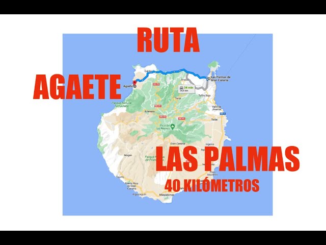 como ir de las palmas a tenerife