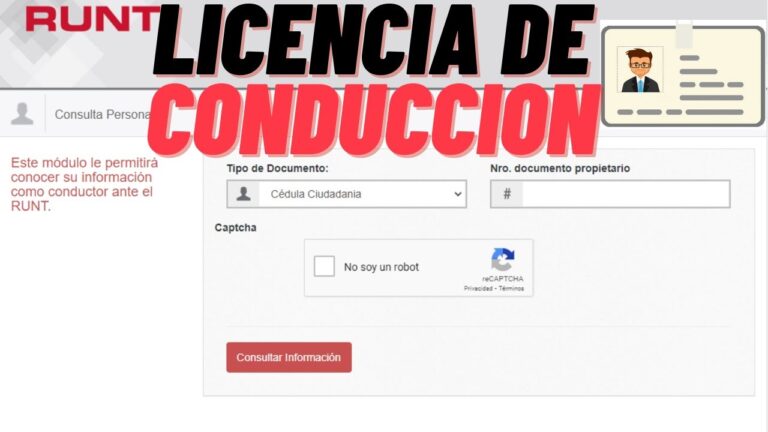 como saber si alguien tiene carnet de conducir