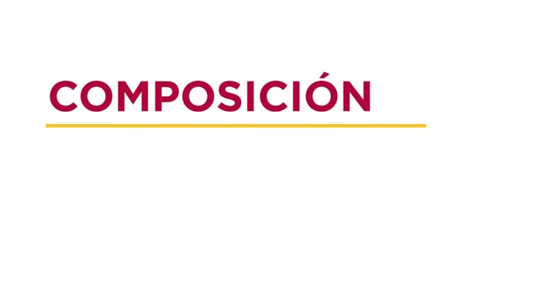 consejo de cuentas de castilla y leon