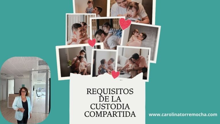 custodia para la madre requisitos