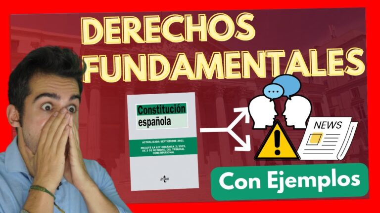 derechos de la constitucion española