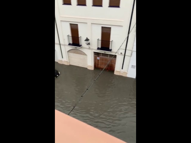 el tiempo en ecija hoy