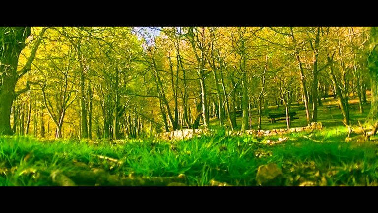 el tiempo en salas asturias