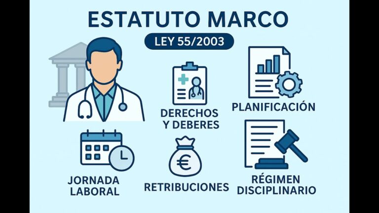 estatuto marco esquemas y resumenes