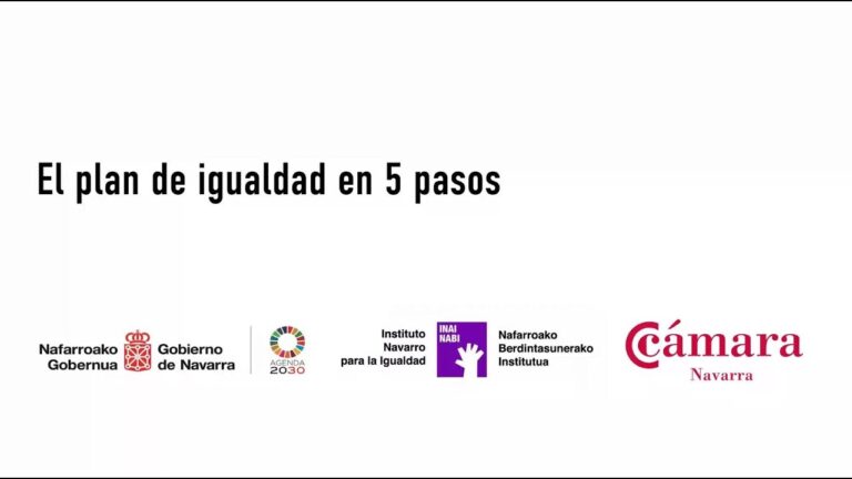 fases de un plan de igualdad