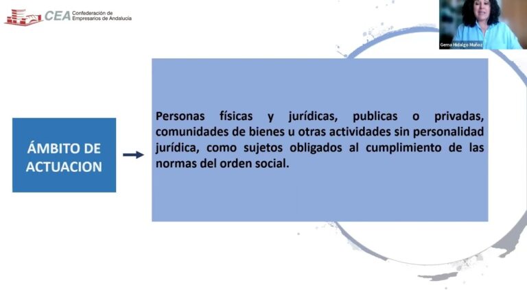 inspección de trabajo categoría profesional
