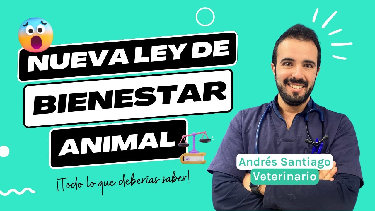 ley de bienestar animal 2023