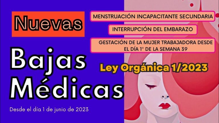 ley organica 1/2023