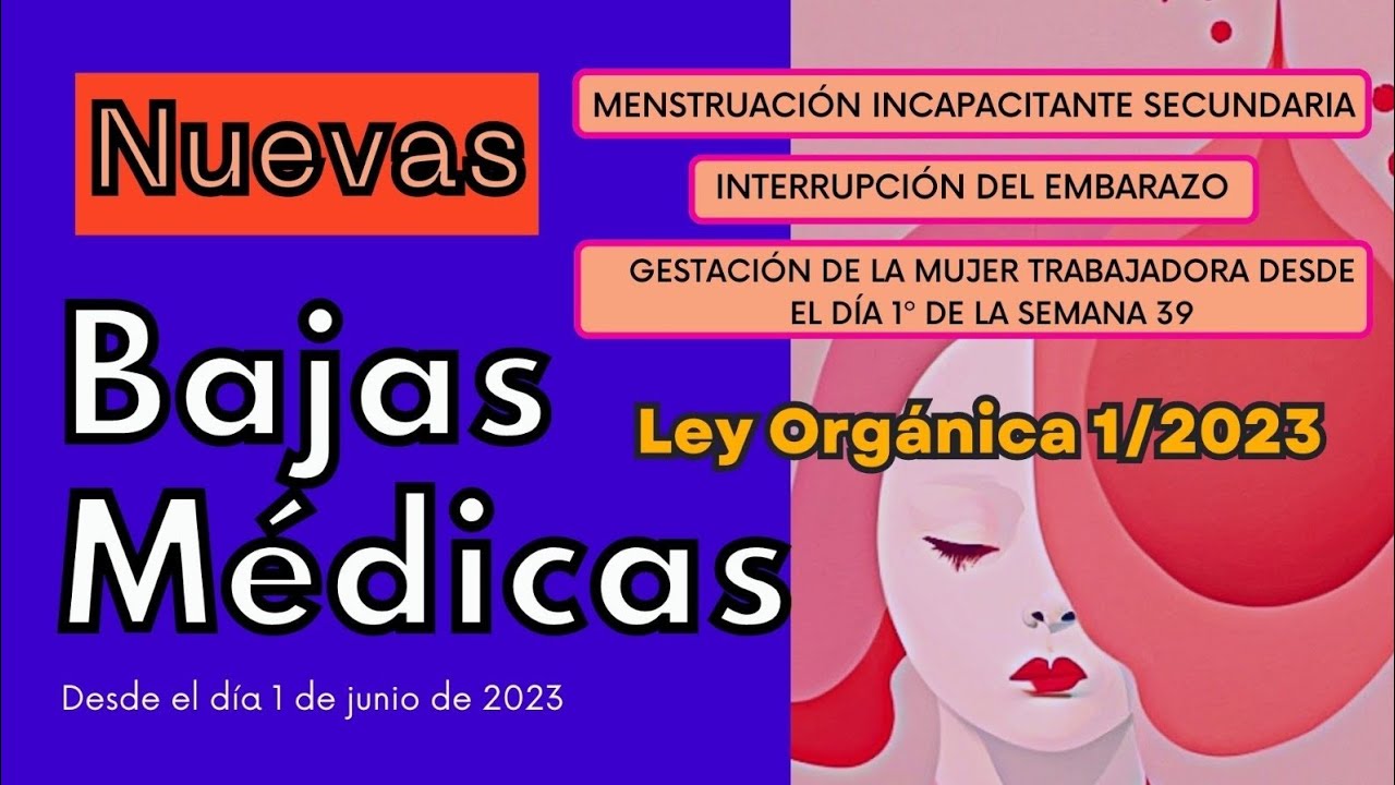 ley organica 1/2023
