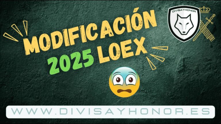 ley organica 4/2000