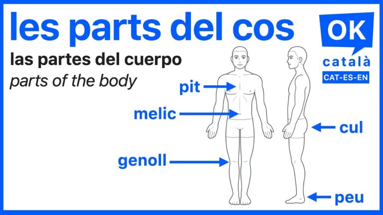 partes del cuerpo en catalan