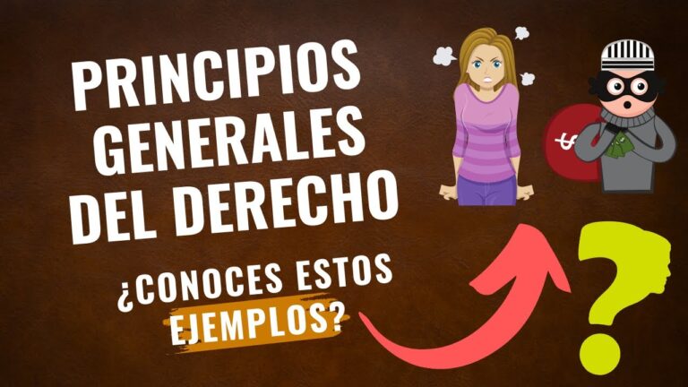 principios generales del derecho españa