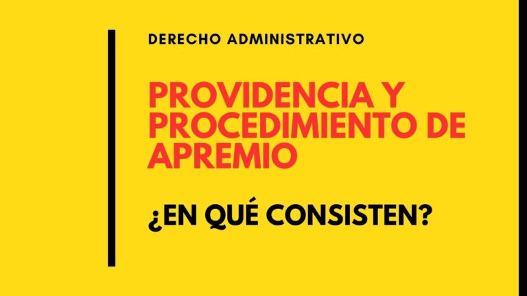 providencia de señalamiento de bienes