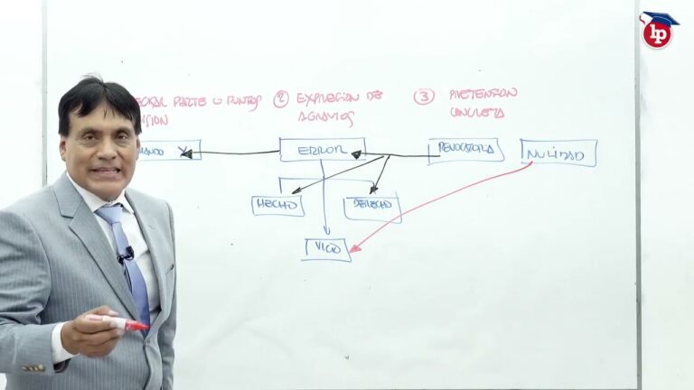 recurso de apelación penal esquema