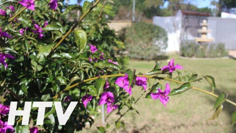 villas en chiclana de la frontera